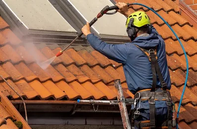 Démoussage et hydrofuge de toiture à Prignac